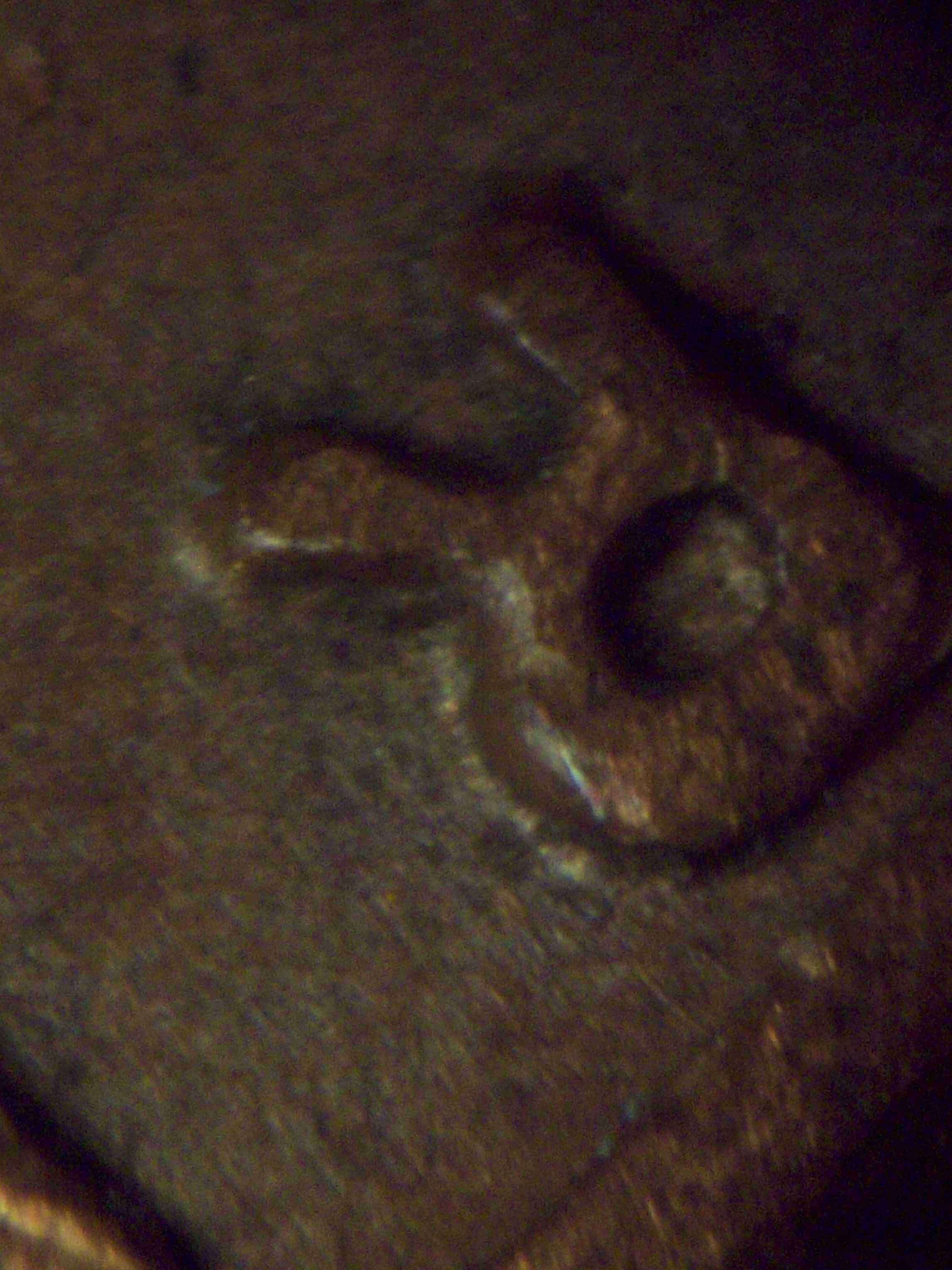 1958-P-Minor-/-Minor-/-Minor-Doubled-Die-OBV-New-Discovery.-Cent